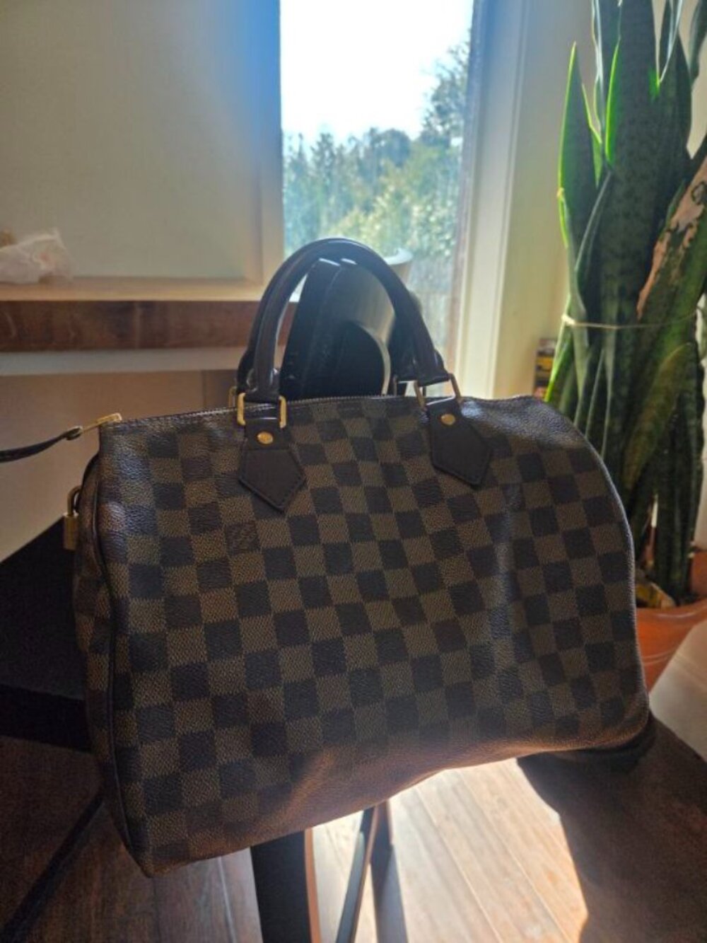 Louis Vuitton Speedy 30 Damier Ebene